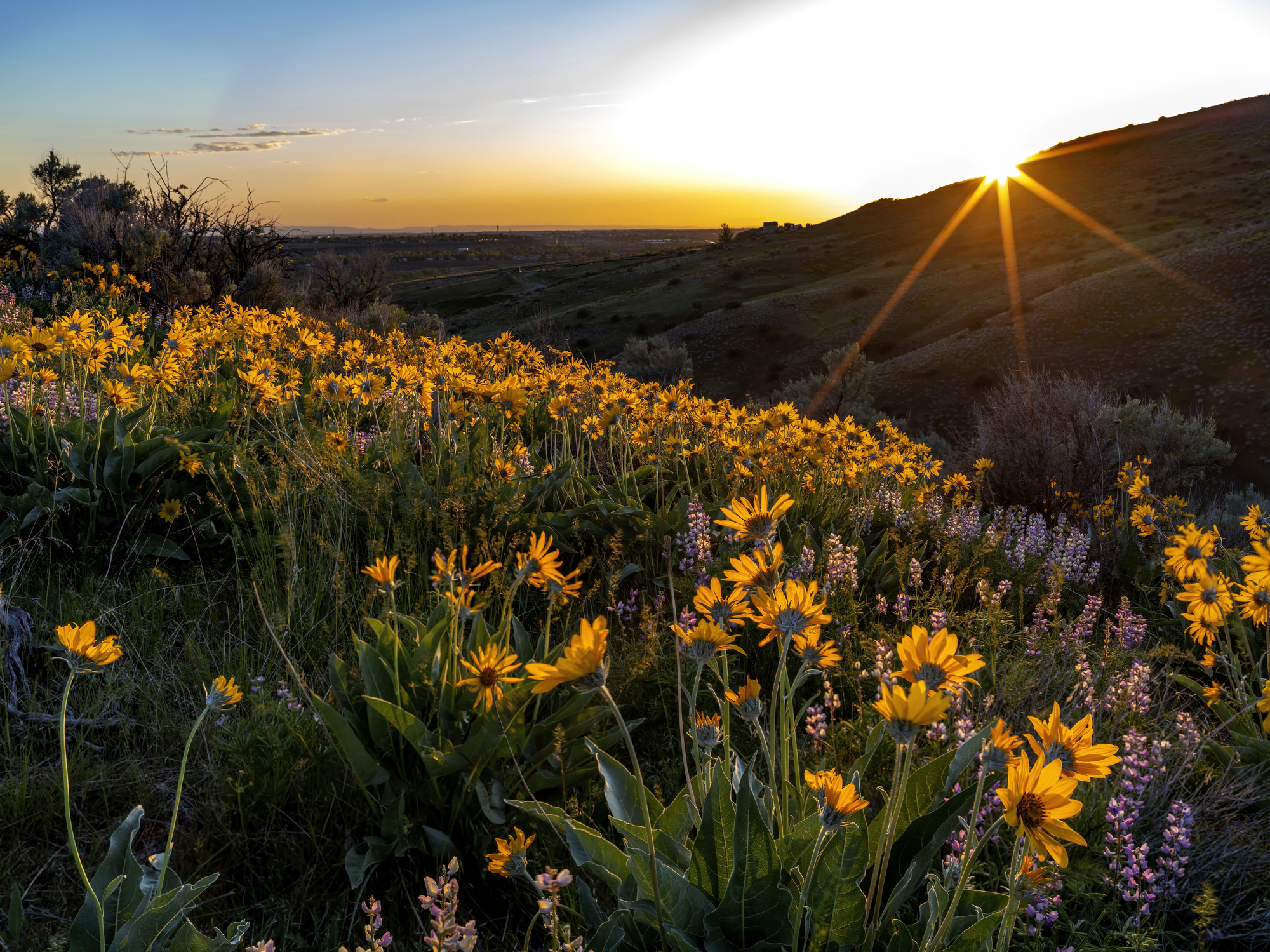 Trip Planning callout